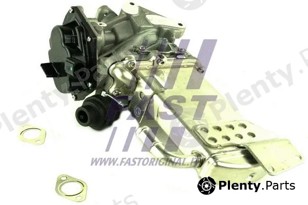 Fast FT60424 — EGR Module