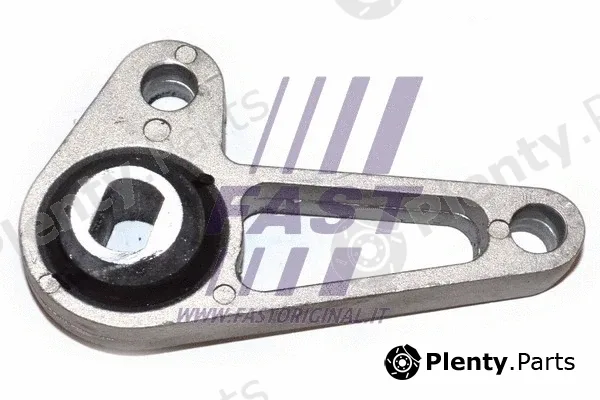 Fast FT52491 — Mounting, engine