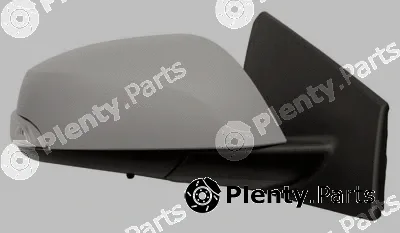 Ferron 11RN09001 — Exterior Mirror