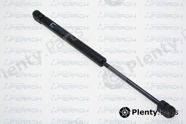 Ferron 1623 — Gas Spring, boot/cargo area