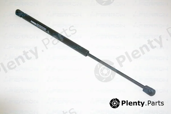 Ferron 5 — Gas Spring, boot/cargo area