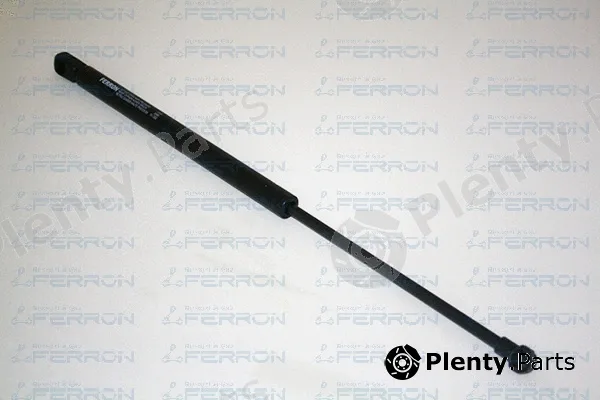 Ferron 1319 — Gas Spring, boot/cargo area