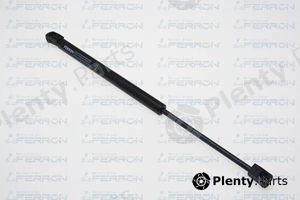 Ferron 1719 — Gas Spring, boot/cargo area