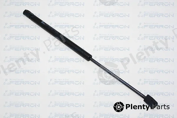 Ferron 1730 — Gas Spring, boot/cargo area