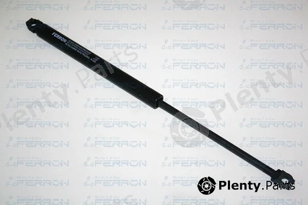 Ferron 172S — Gas Spring, boot/cargo area