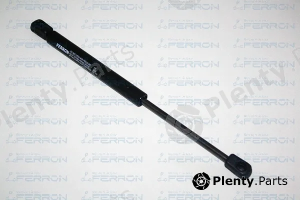Ferron 121 — Gas Spring, boot/cargo area