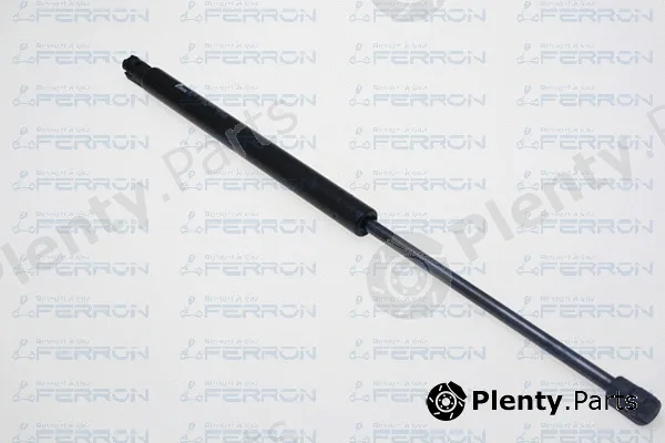 Ferron 1842 — Gas Spring, boot/cargo area