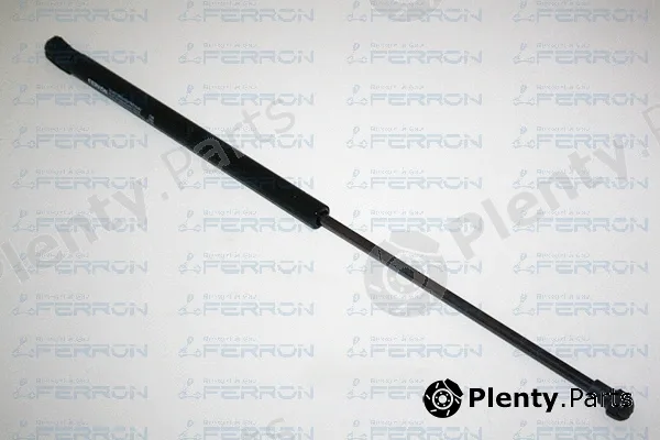 Ferron 1348 — Gas Spring, boot/cargo area