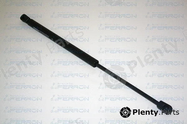 Ferron 1310 — Gas Spring, boot/cargo area