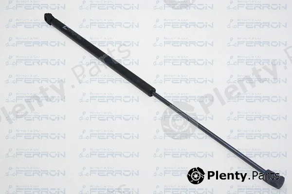 Ferron 1782 — Gas Spring, boot/cargo area