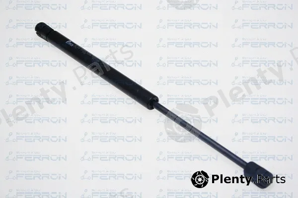 Ferron 1643 — Gas Spring, boot/cargo area