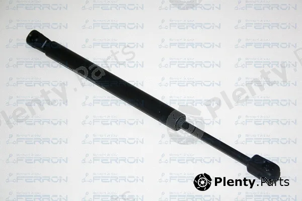 Ferron 1313 — Gas Spring, boot/cargo area
