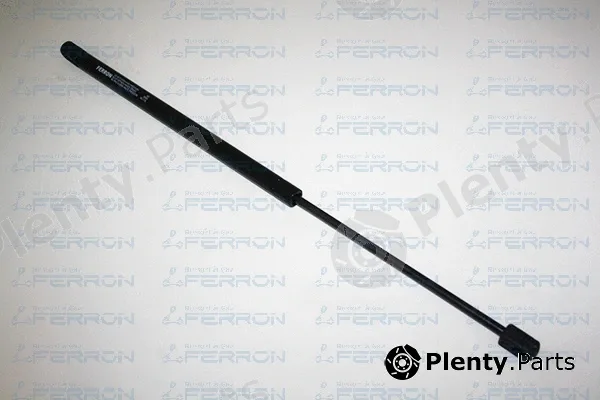 Ferron 163 — Gas Spring, boot/cargo area