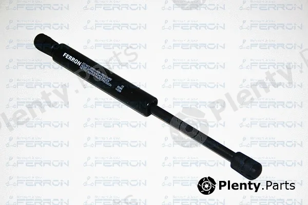 Ferron 10 — Gas Spring, boot/cargo area