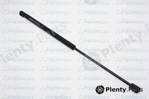 Ferron 1529 — Gas Spring, boot/cargo area