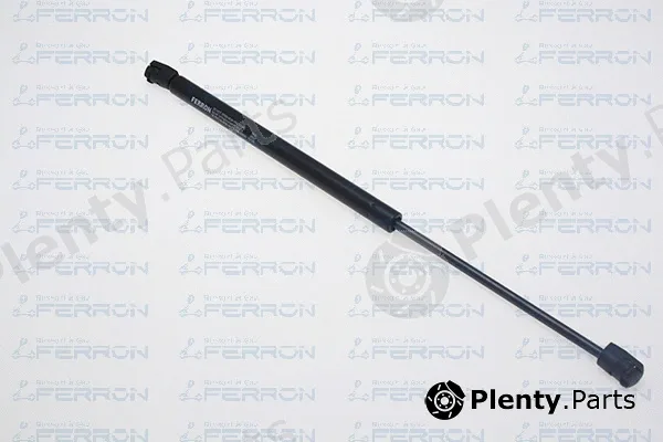 Ferron 1831 — Gas Spring, boot/cargo area