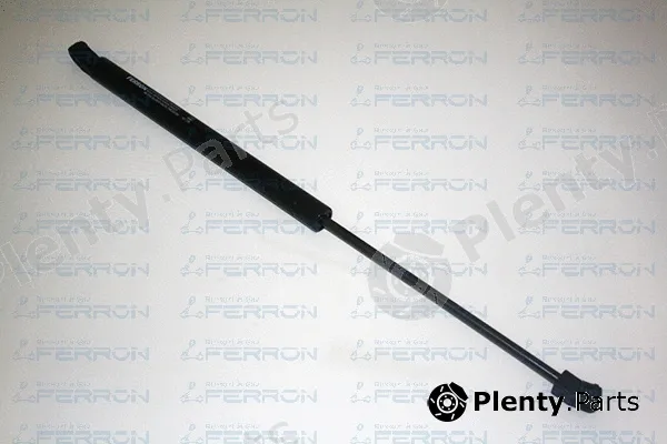 Ferron 1324 — Gas Spring, boot/cargo area