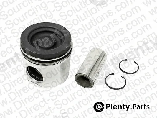 DSS 110112 — Piston