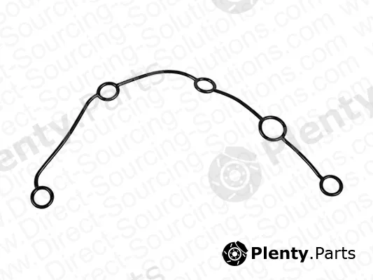 DSS 6210011 — Gasket, timing case