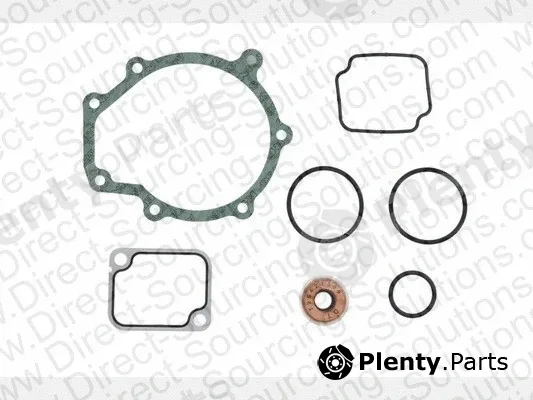 DSS 420024 — Gasket, water pump