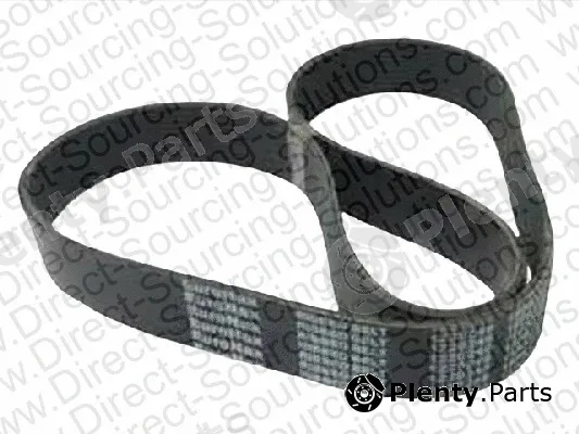 DSS 208487 — V-Ribbed Belt