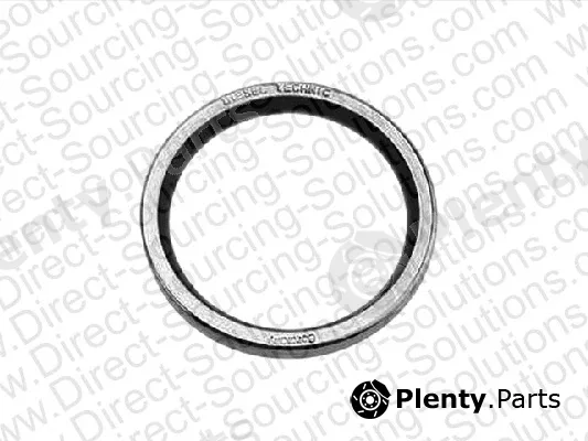DSS 202022 — Seal, thermostat