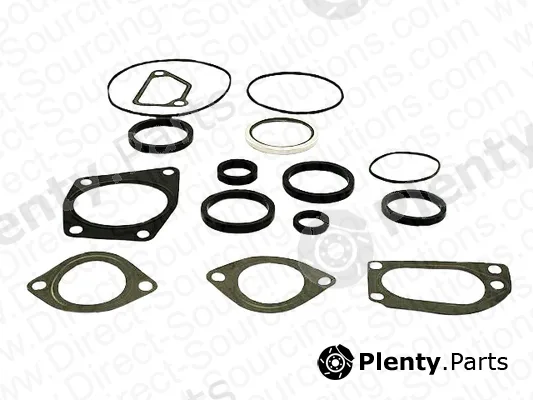 DSS 202376 — Gasket Set, water pump
