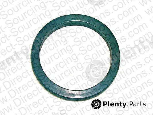 DSS 202080 — Gasket, water pump