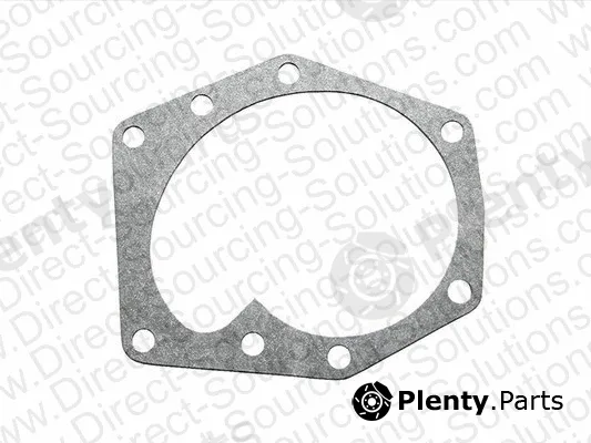 DSS 102049 — Gasket, water pump