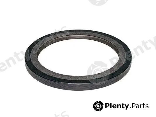 DSS 110054 — Shaft Seal, crankshaft