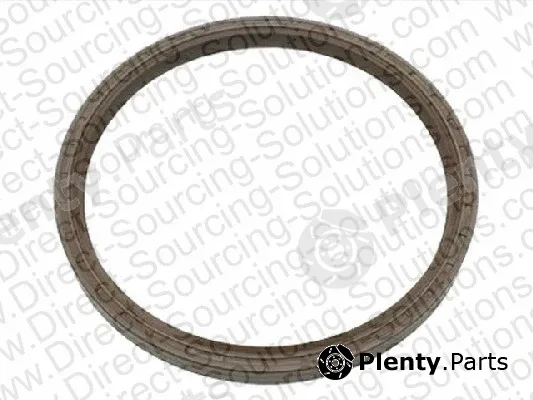DSS 201882 — Shaft Seal, crankshaft