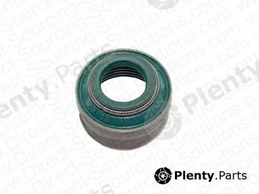 DSS 101646 — Seal Ring, valve stem