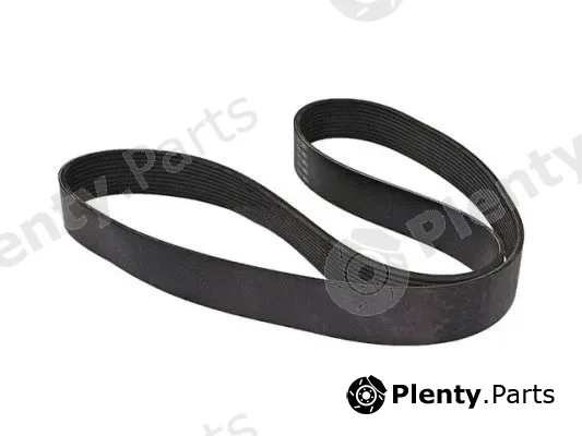 DSS 120009 — V-Ribbed Belt
