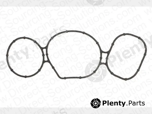 DSS 120129 — Gasket, water pump