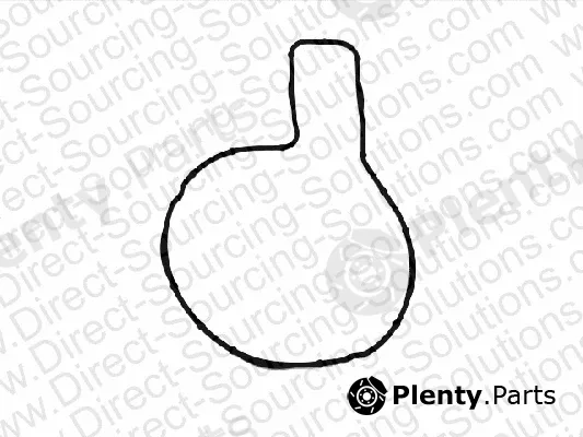 DSS 220002 — Gasket, water pump