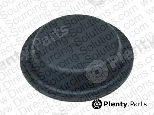 DSS 106005 — Membrane, spring-loaded cylinder