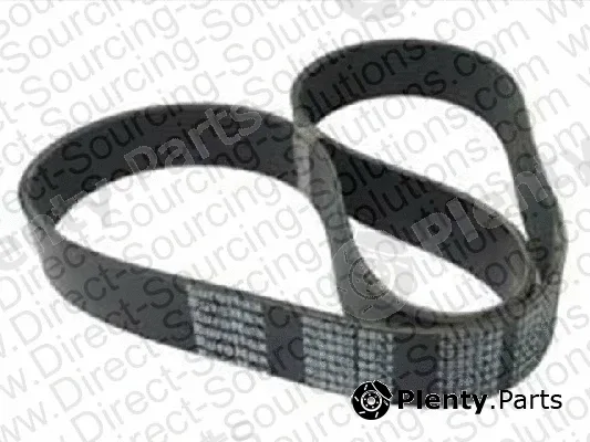 DSS 208664 — V-Ribbed Belt