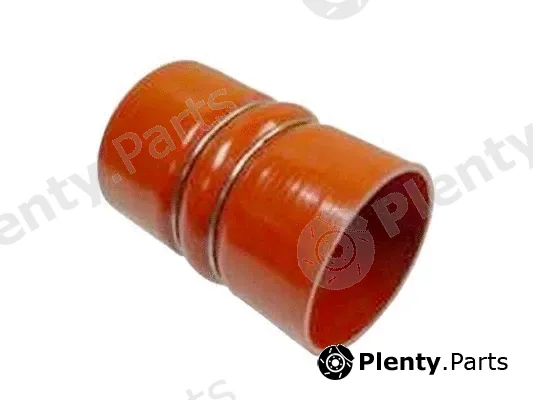DSS 102006 — Radiator Hose