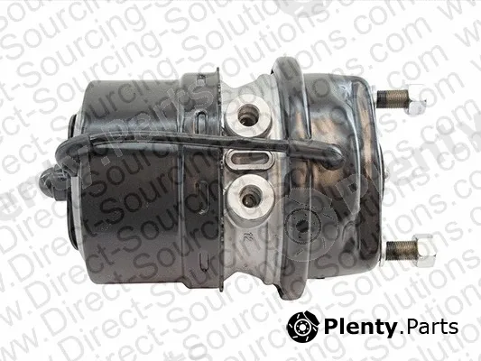 DSS 160045OEM — Spring-loaded Cylinder