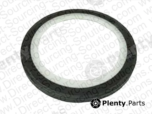 DSS 101581OEM — Shaft Seal, crankshaft