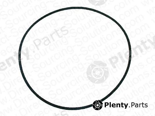 DSS 202359 — Gasket, water pump