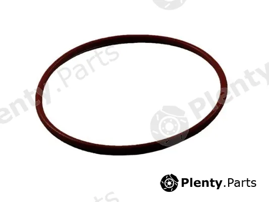 DSS 102298 — Seal, radiator