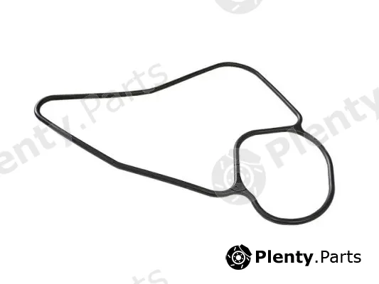 DSS 120042 — Gasket, water pump