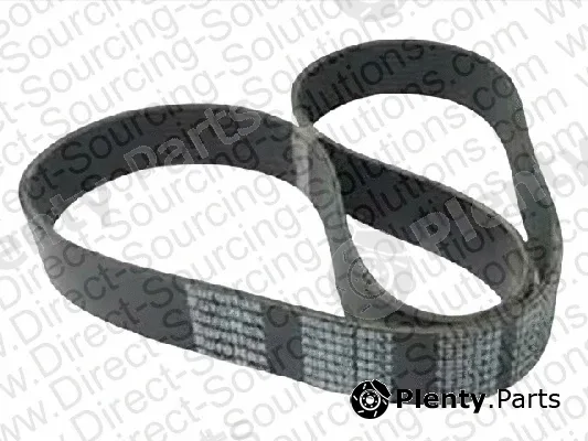 DSS 6280001 — V-Ribbed Belt