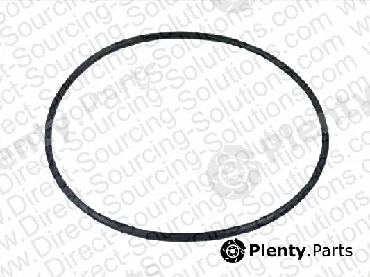 DSS 105229 — Seal Ring, wheel hub