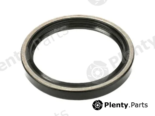 DSS 101064 — Shaft Seal, crankshaft