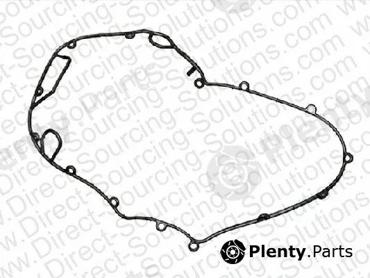 DSS 110033 — Gasket, water pump