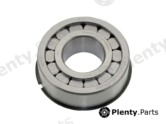 DSS 170003 — Bearing, differential