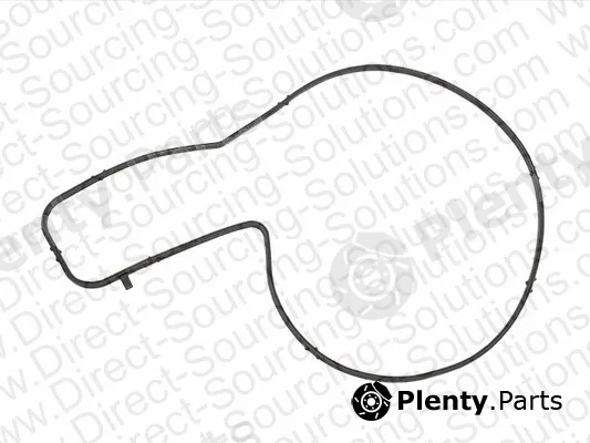 DSS 220069 — Gasket, water pump