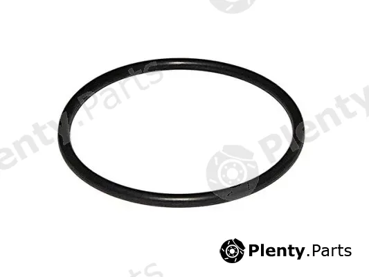 DSS 107418 — Gasket, oil filter housing